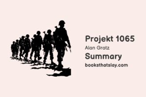 Projekt 1065 Summary