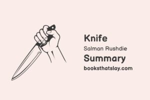 Knife: Meditations After an Attempted Murder Summary, Analysis and Themes