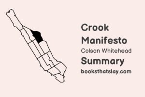 Crook Manifesto Summary, Characters and Themes