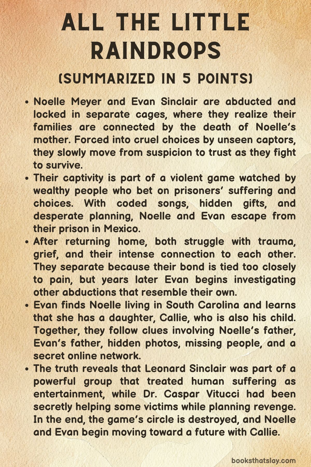 All the Little Raindrops Summary
