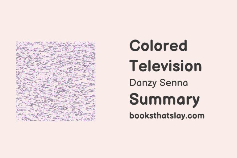 Colored Television by Danzy Senna Summary, Characters and Themes