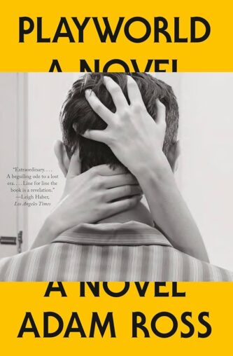 Playworld by Adam Ross book cover
