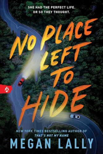 No Place Left to Hide by Megan Lally book cover