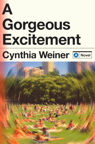 A Gorgeous Excitement by Cynthia Weiner book cover