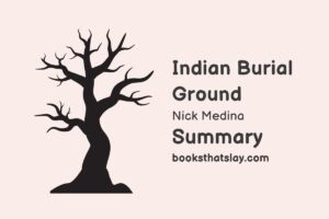 Indian Burial Ground Summary, Characters and Themes