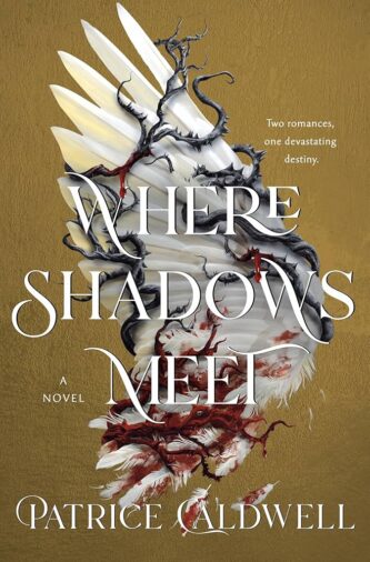 Where Shadows Meet by Patrice Caldwell book cover