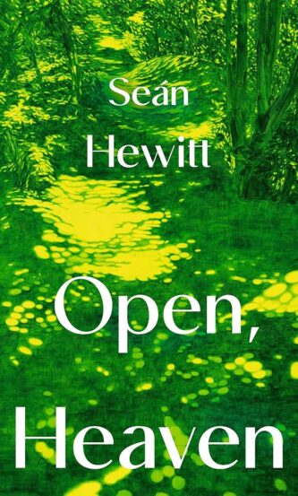 Open Heaven by Sean Hewitt book cover