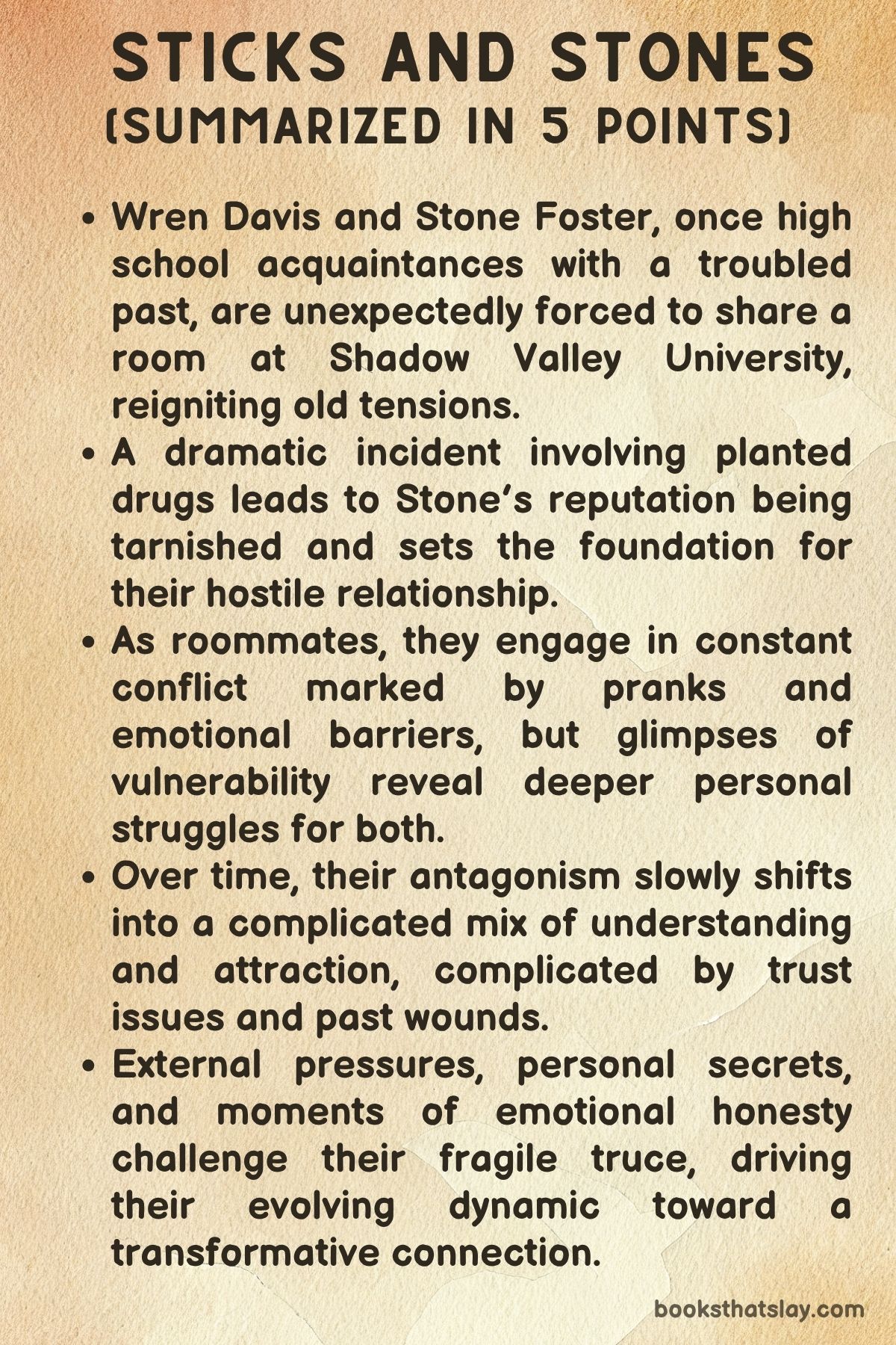 Sticks and Stones by S.J. Sylvis Summary