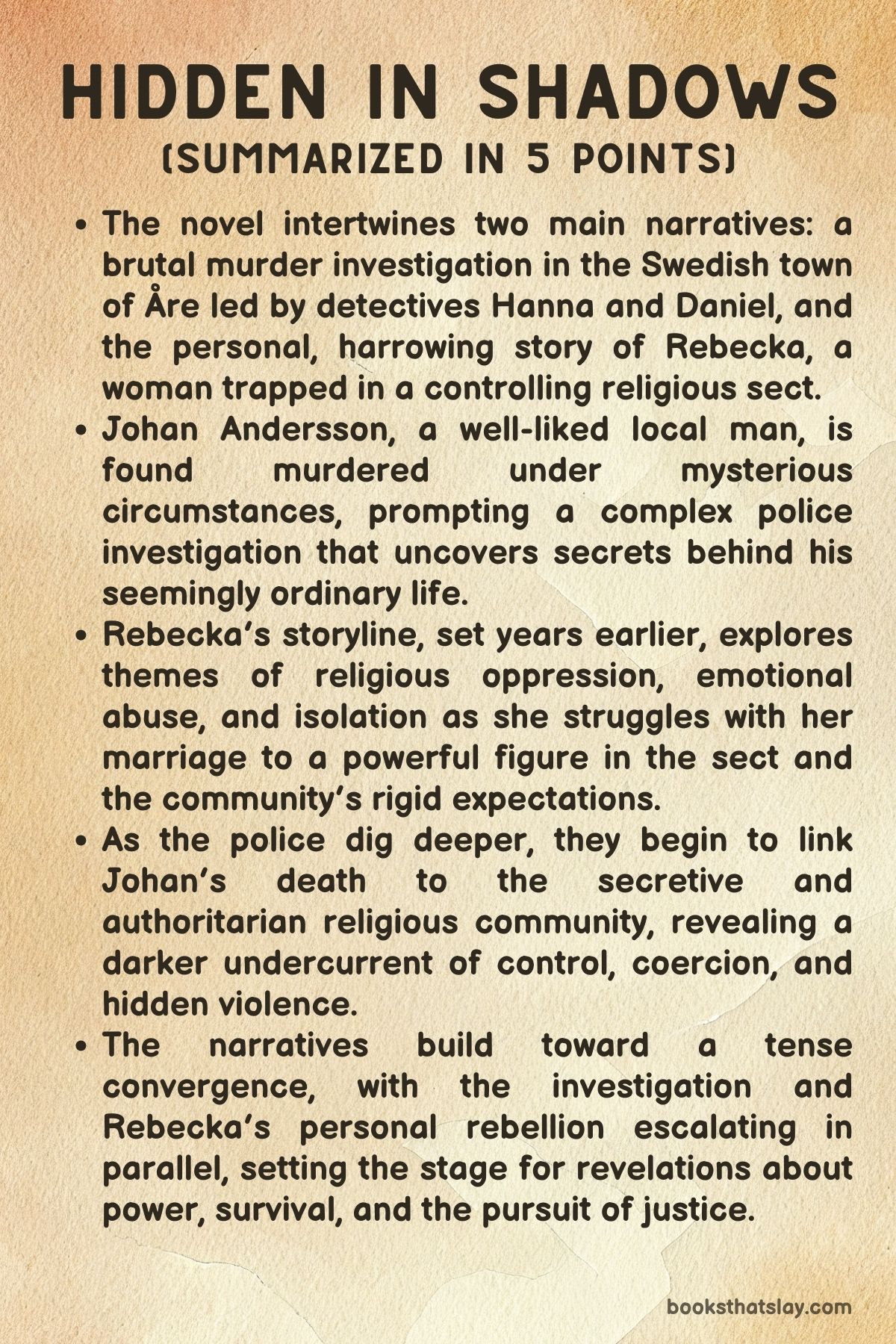 Hidden in Shadows by Viveca Sten Summary
