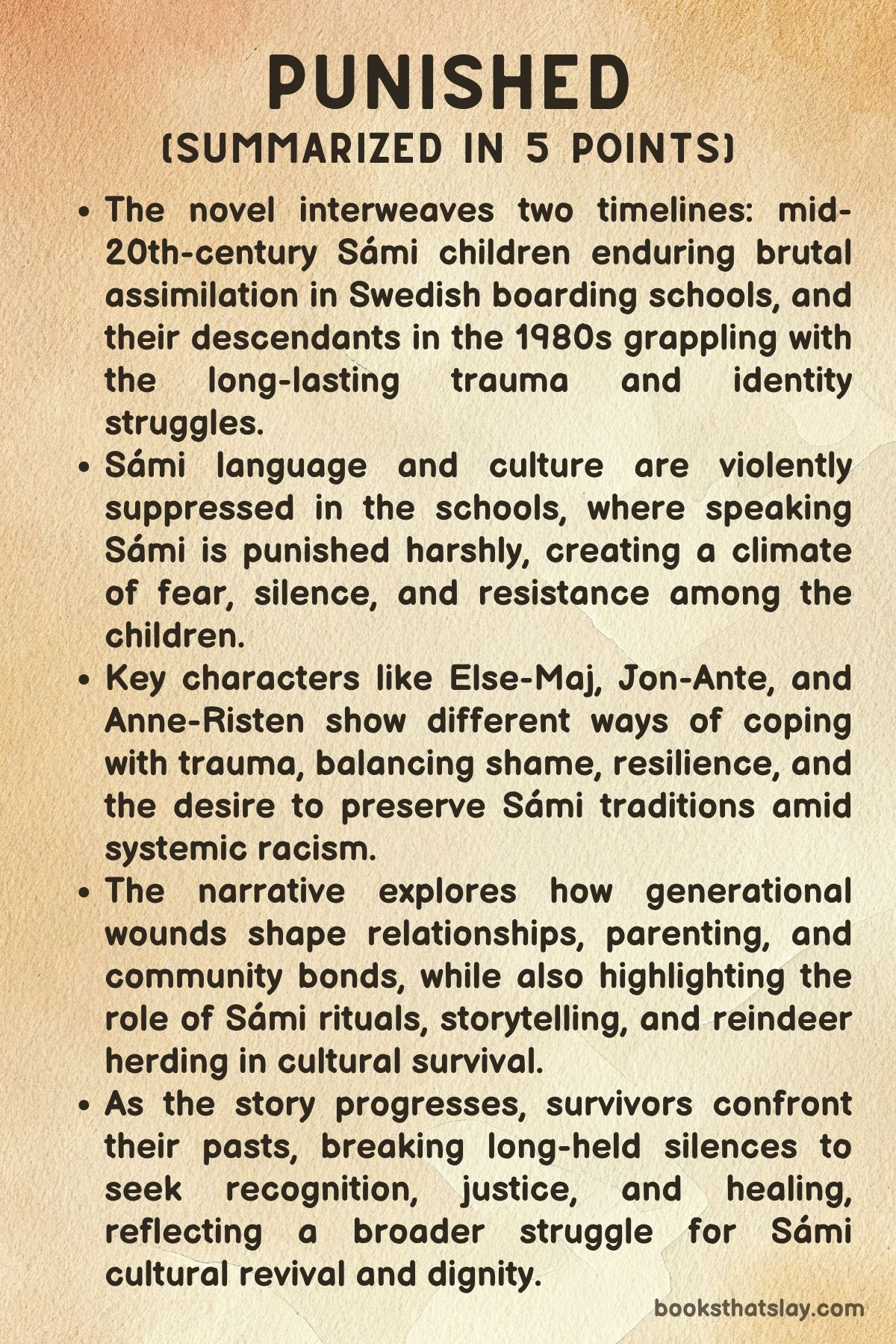 Punished by Ann-Helén Laestadius Summary