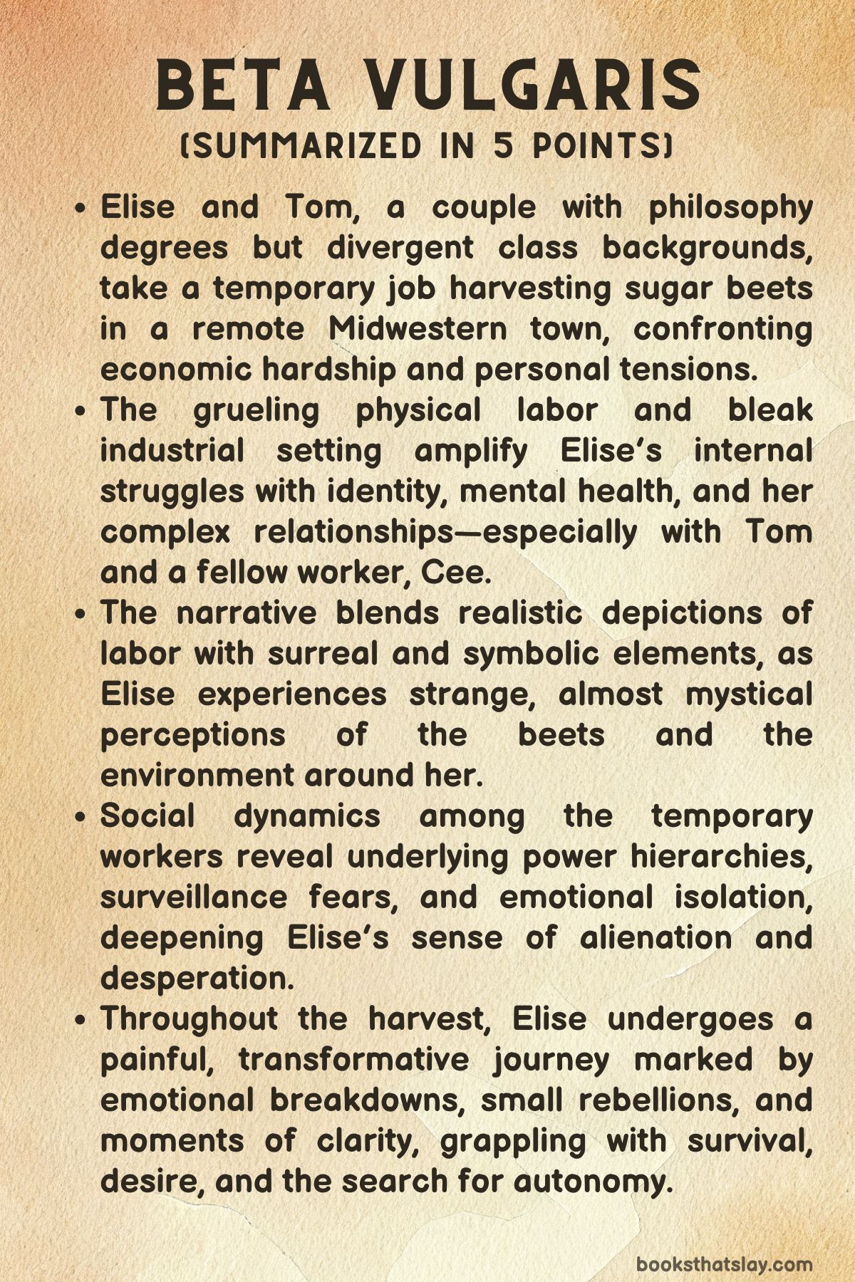 Beta Vulgaris by Jendia Gammon Summary