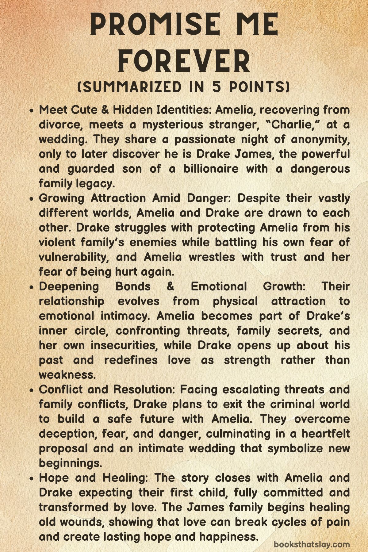 Promise Me Forever Summary