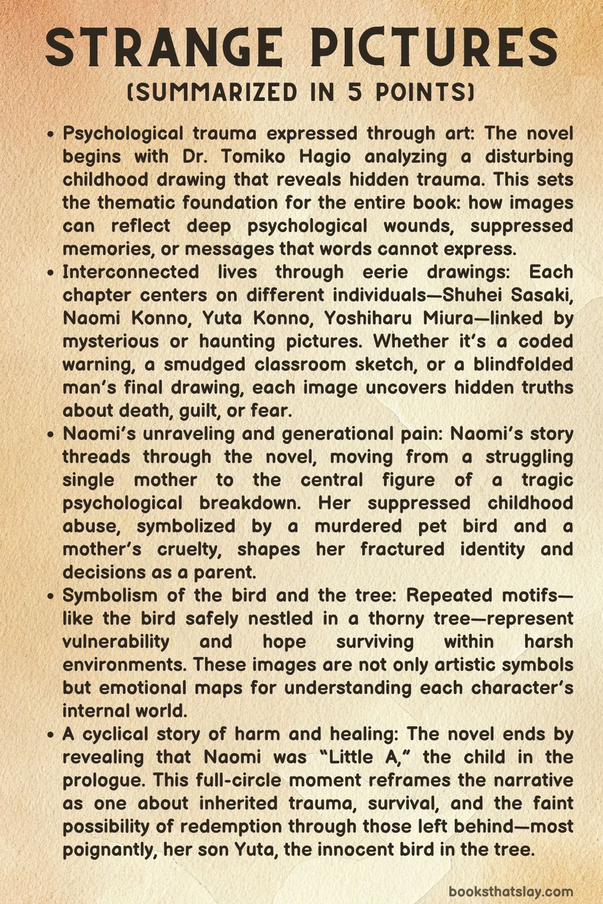 Strange Pictures Summary