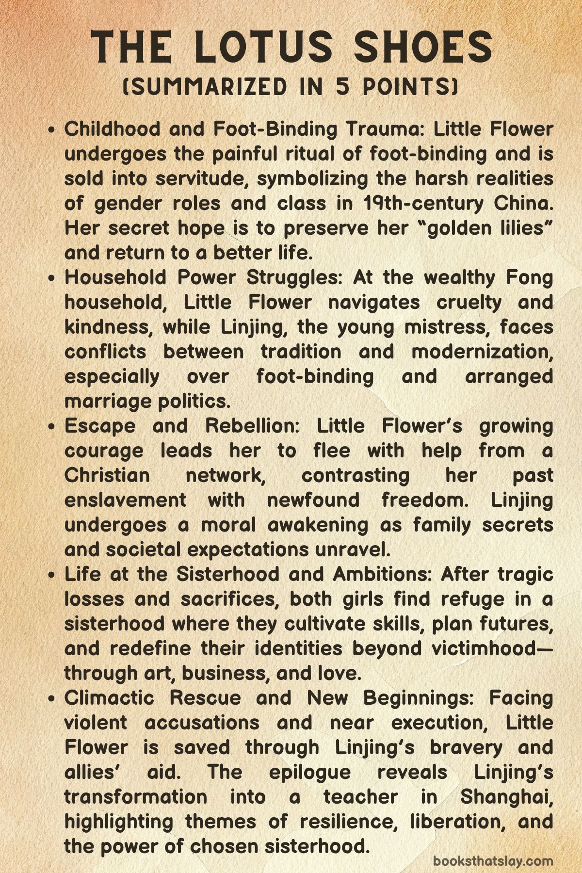 The Lotus Shoes Summary, Characters and Themes