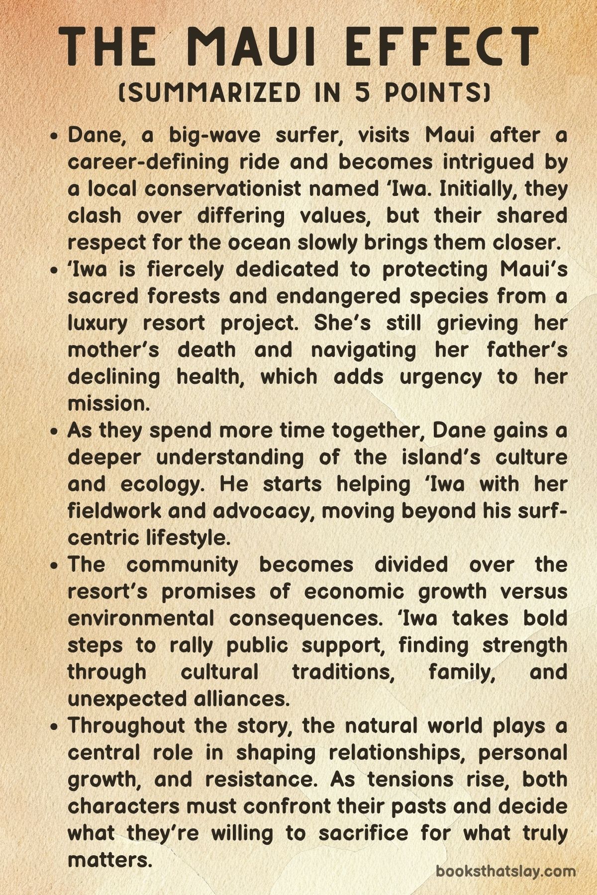 The Maui Effect by Sara Ackerman Summary