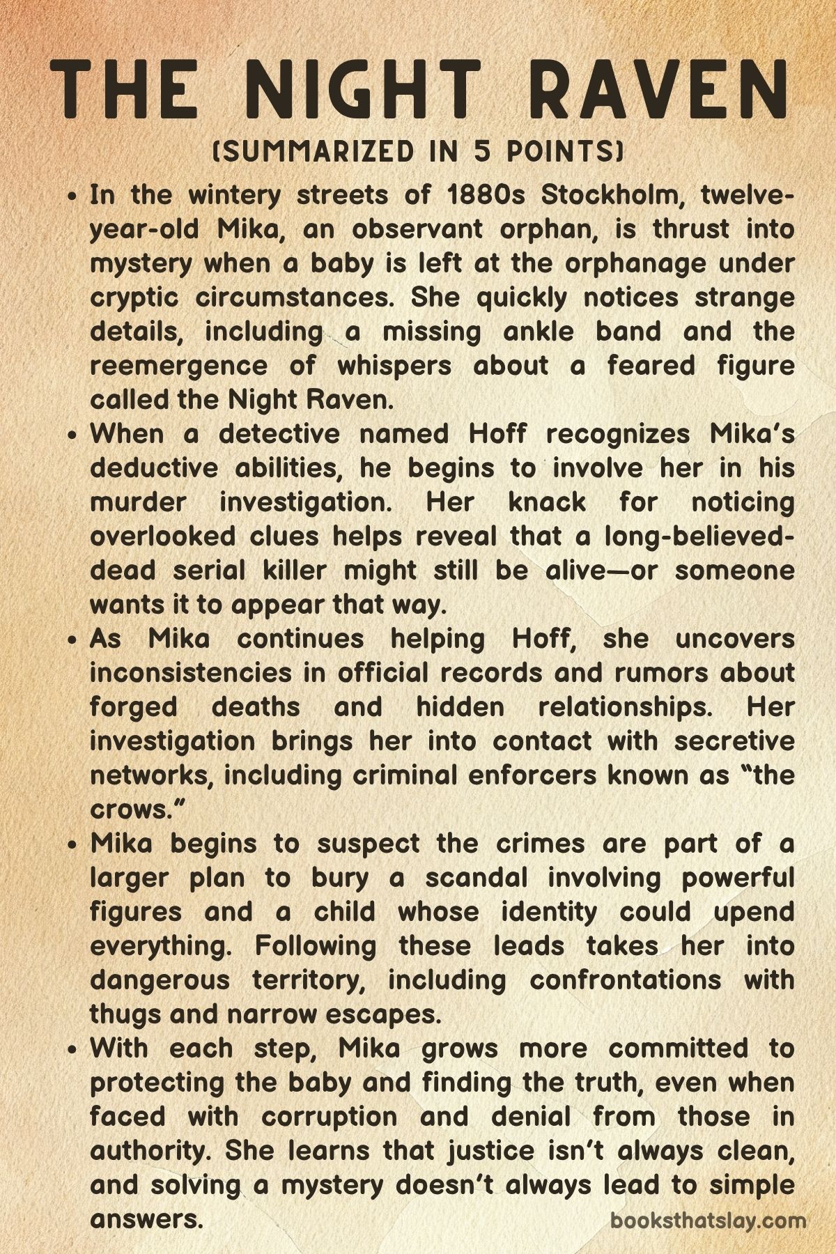 The Night Raven by Johan Rundberg summary