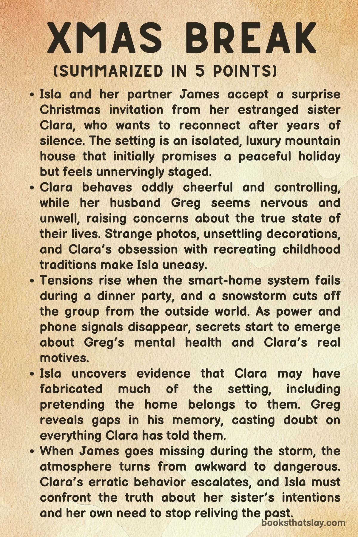 Xmas Break by JE Rowney Summary