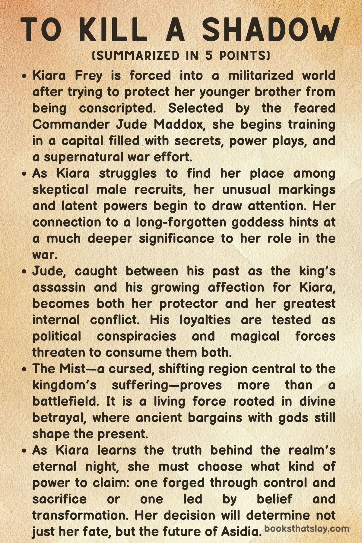 To Kill a Shadow by Katherine Quinn summary