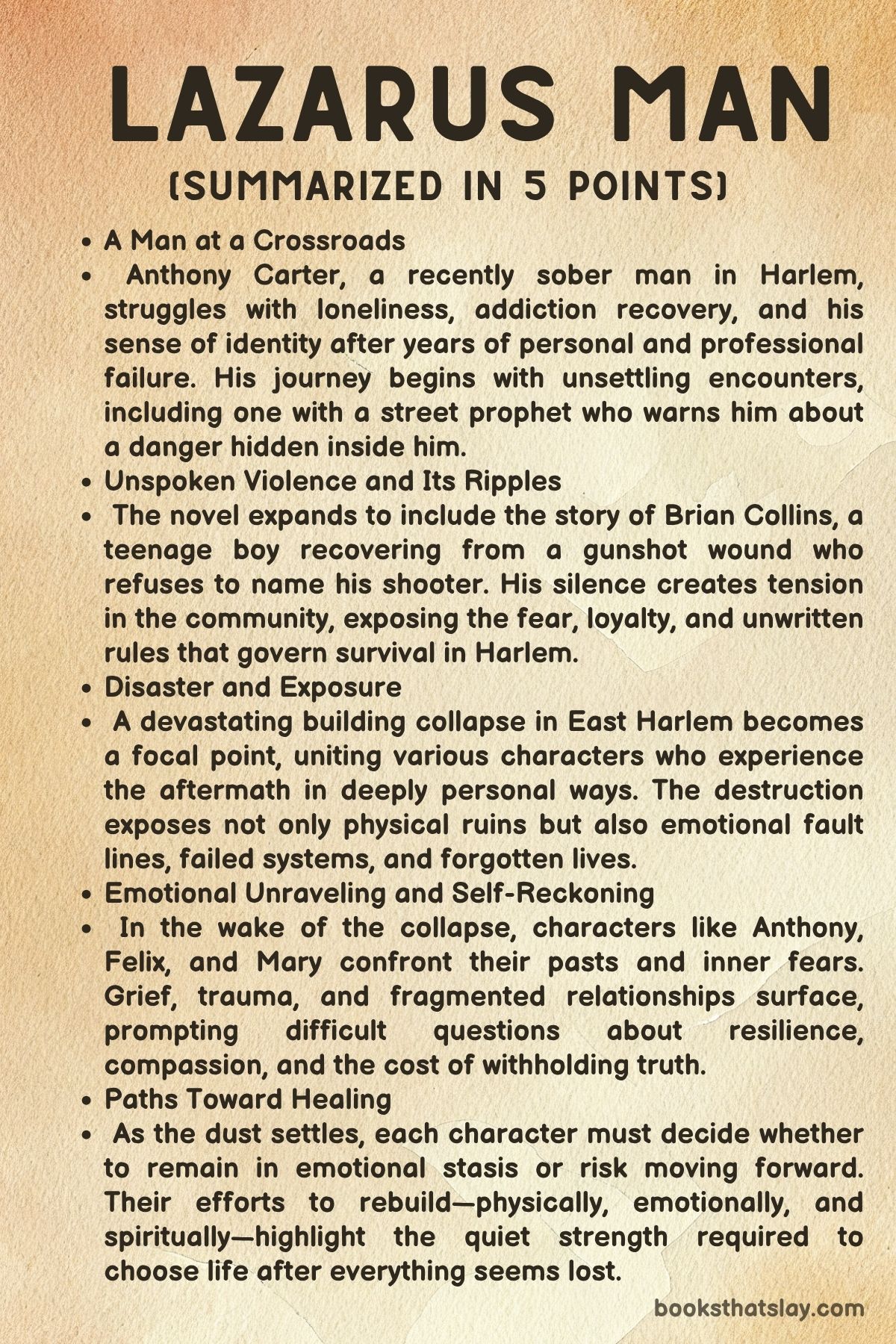 Lazarus Man by Richard Price Summary