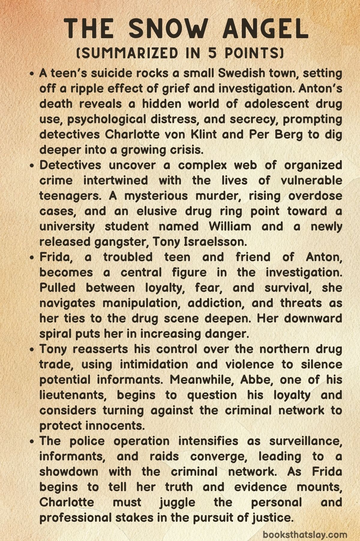 The Snow Angel by Anki Edvinsson Summary