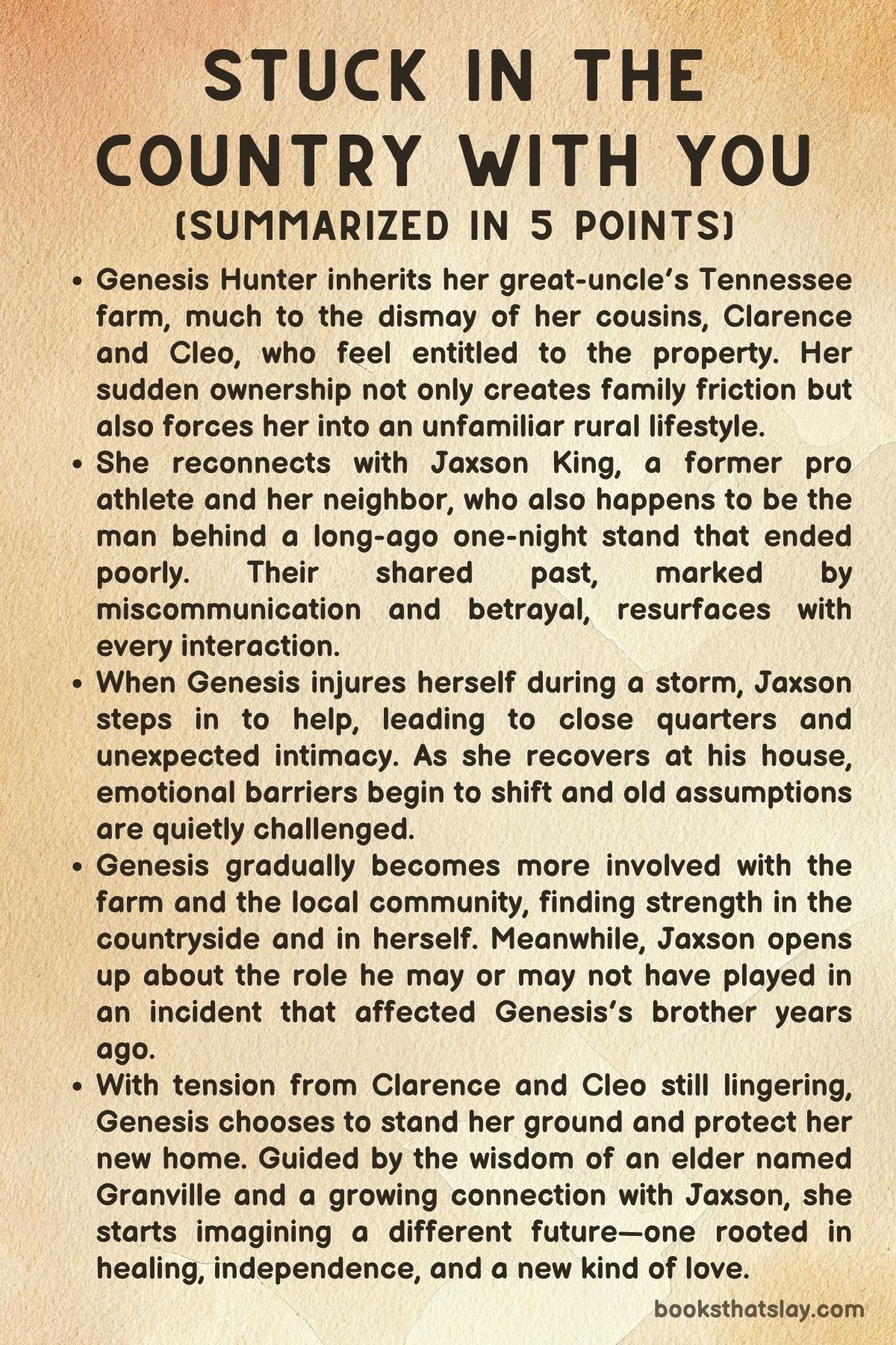 Stuck in the Country with You by Zuri Day Summary