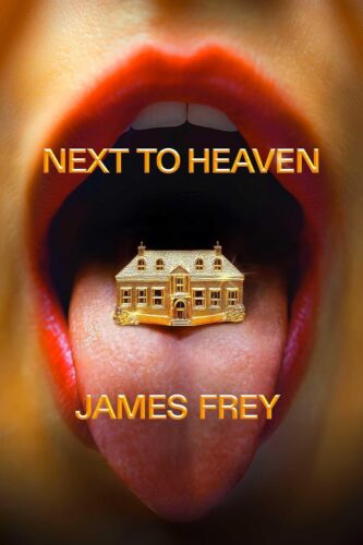 Next to Heaven by James Frey book cover