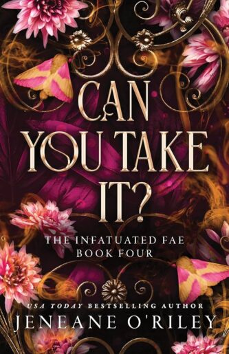 Can You Take It by Jeneane O’Riley book cover