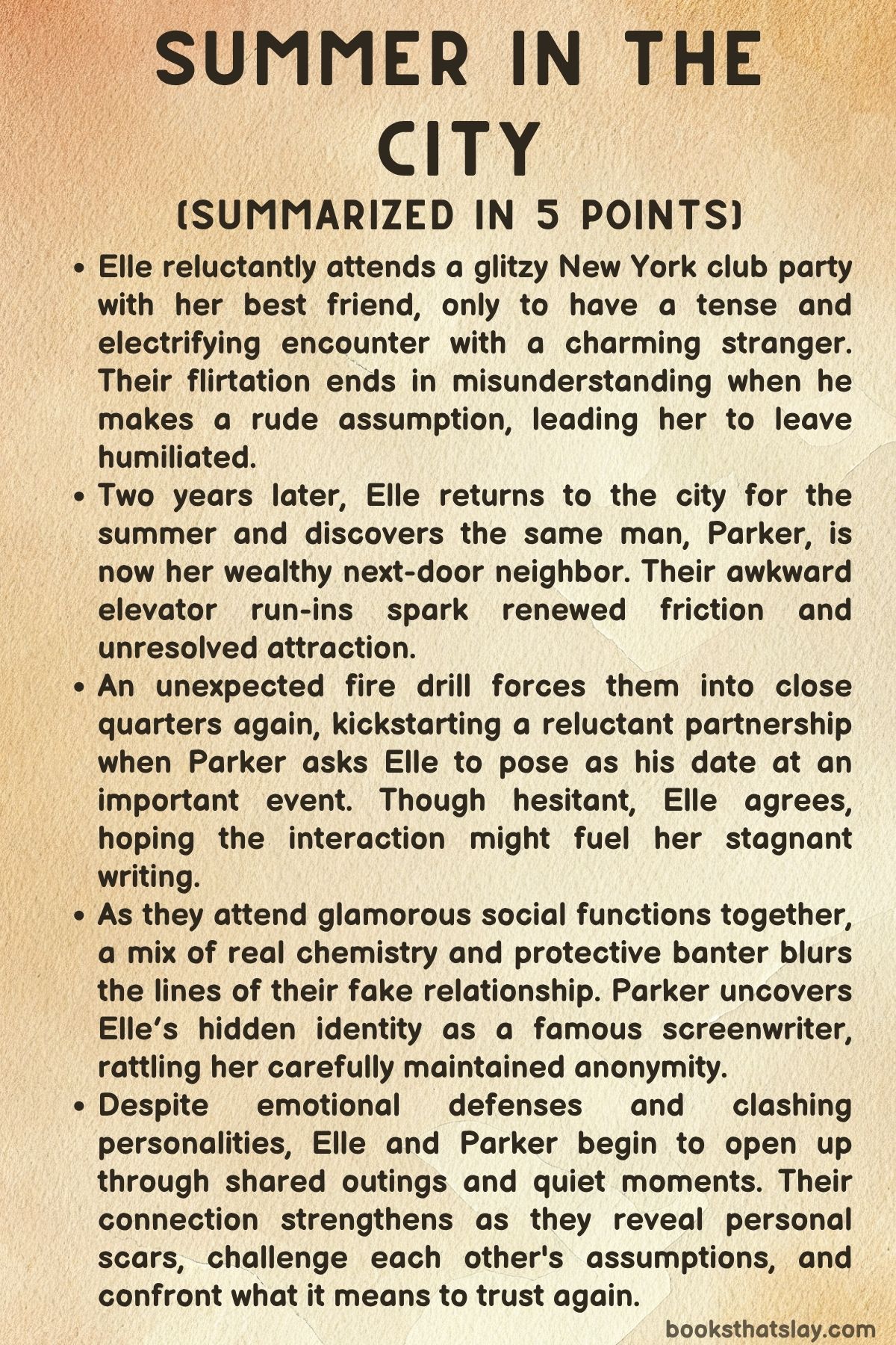 Summer in the City by Alex Aster summary