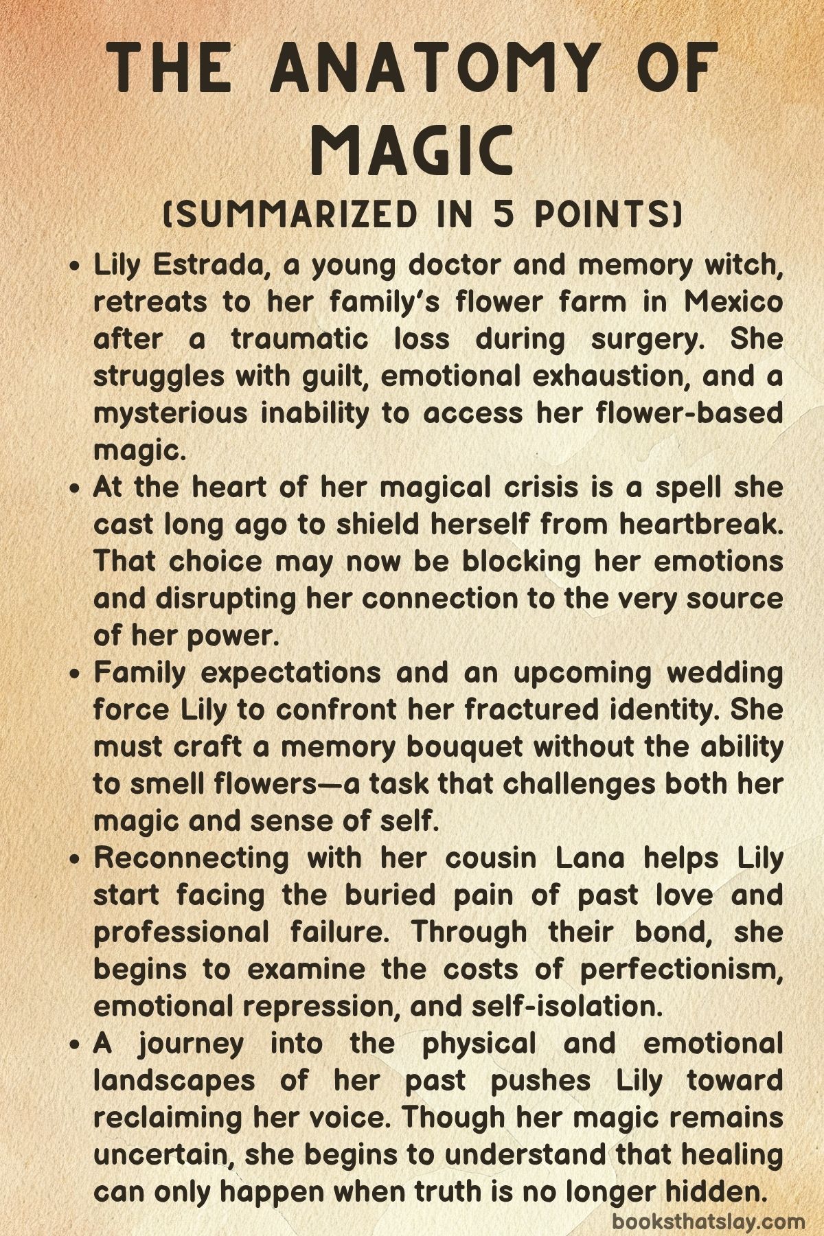 The Anatomy of Magic by JC Cervantes Summary
