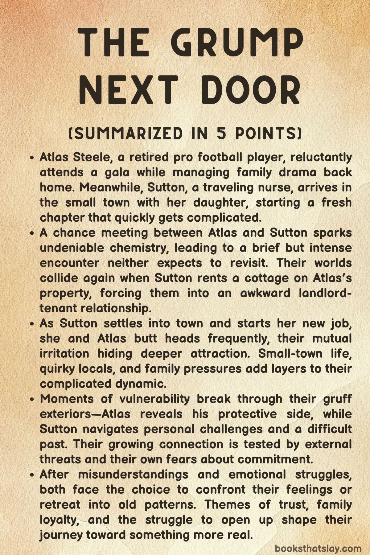 the grump next door summary