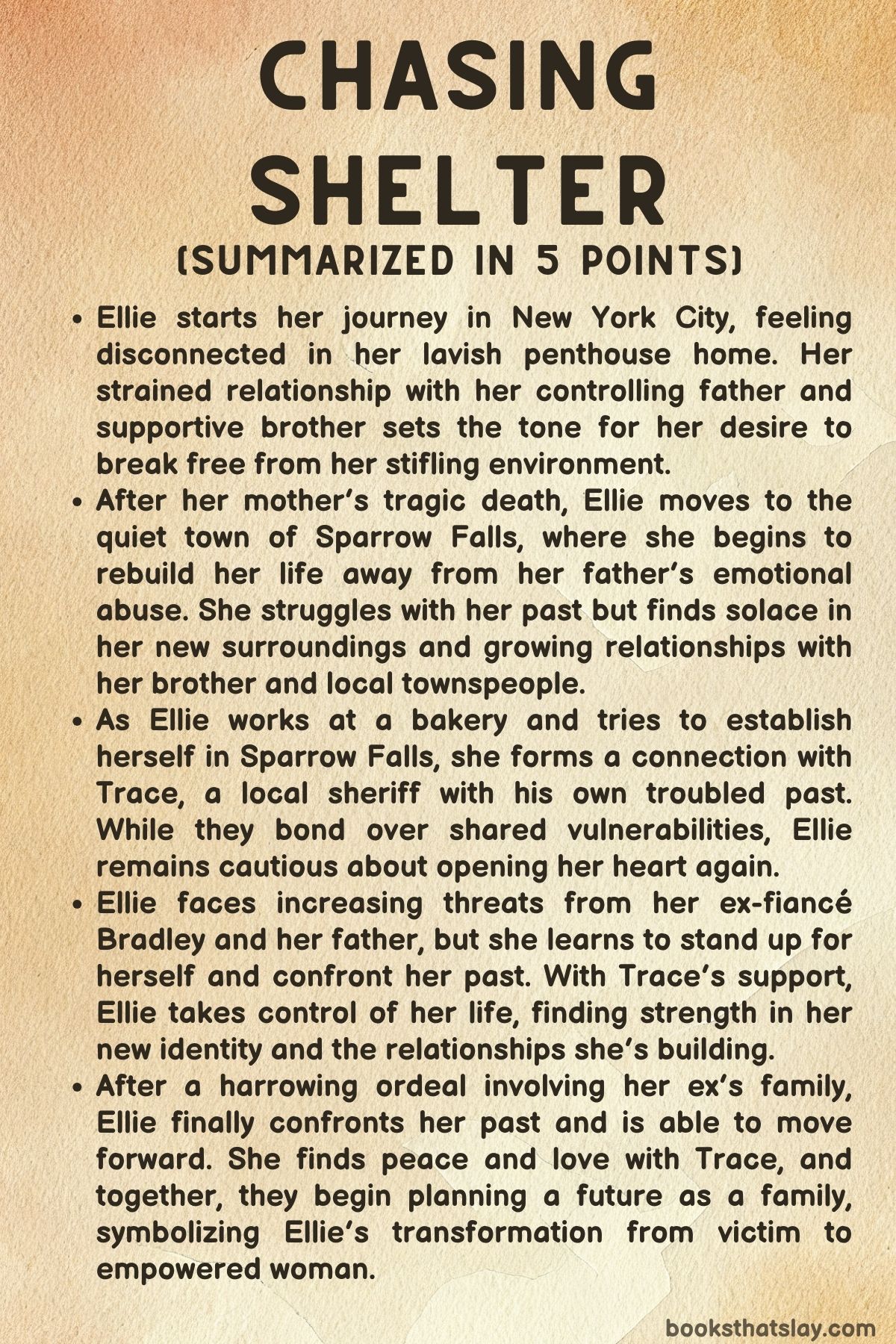 Chasing Shelter by Catherine Cowles Summary