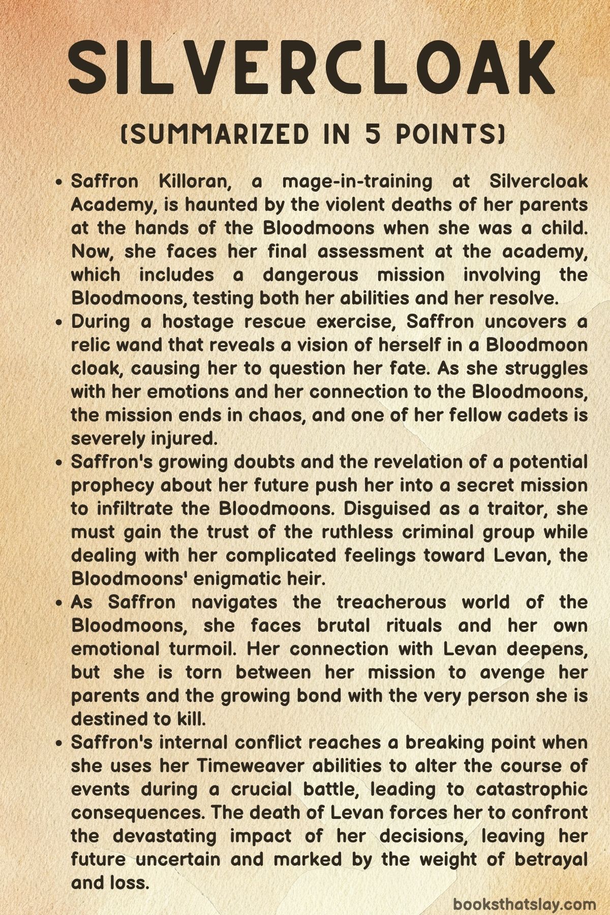 Silvercloak by Lk Steven Summary