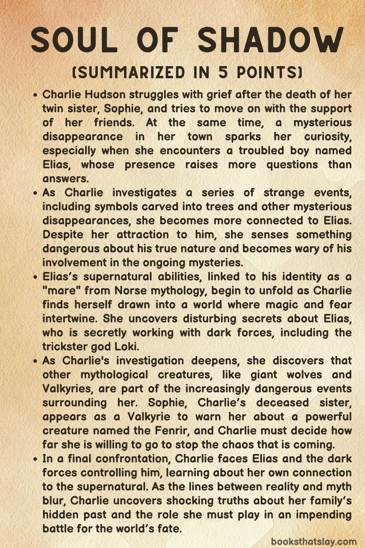 Soul of Shadow Summary
