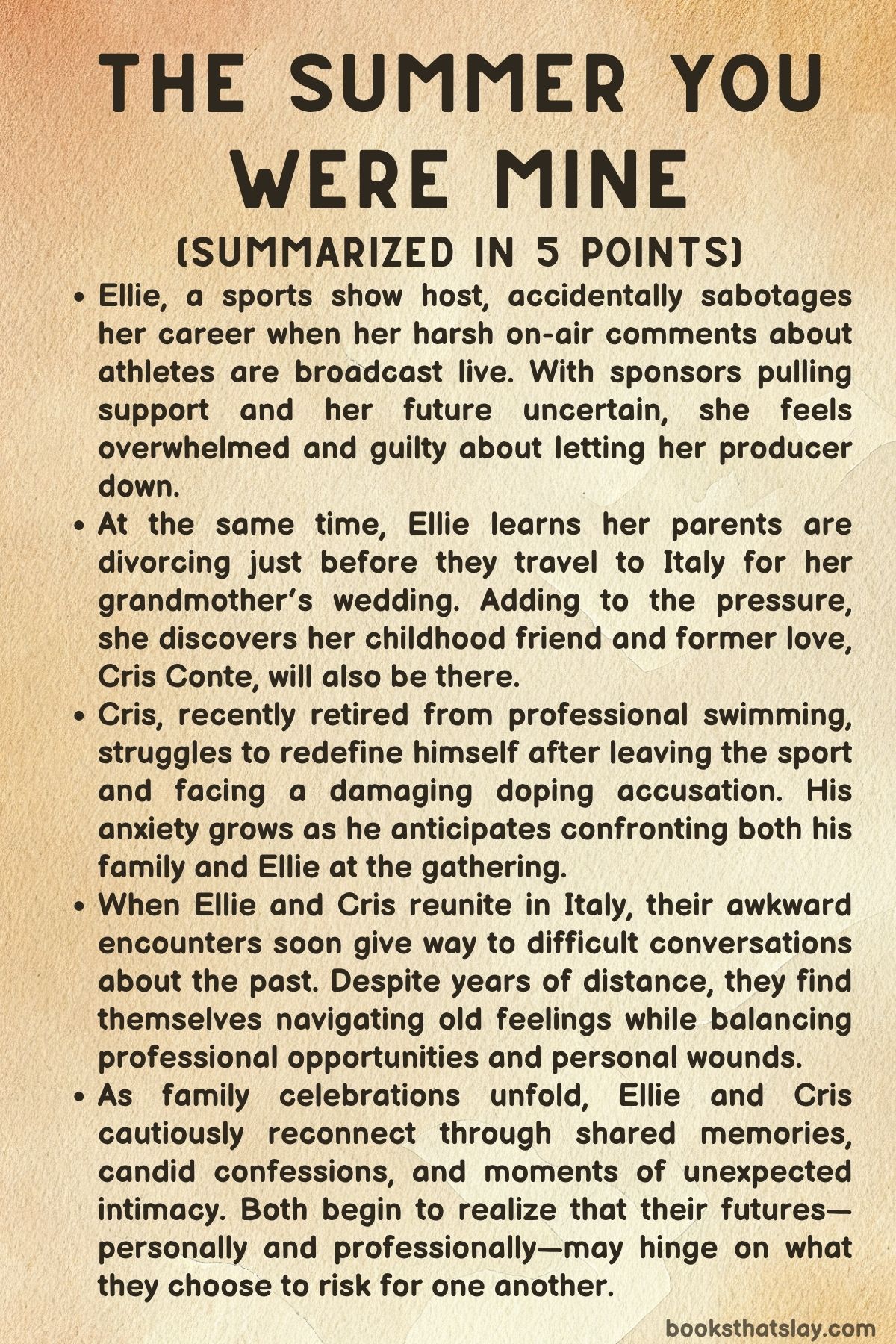 The Summer You Were Mine Summary