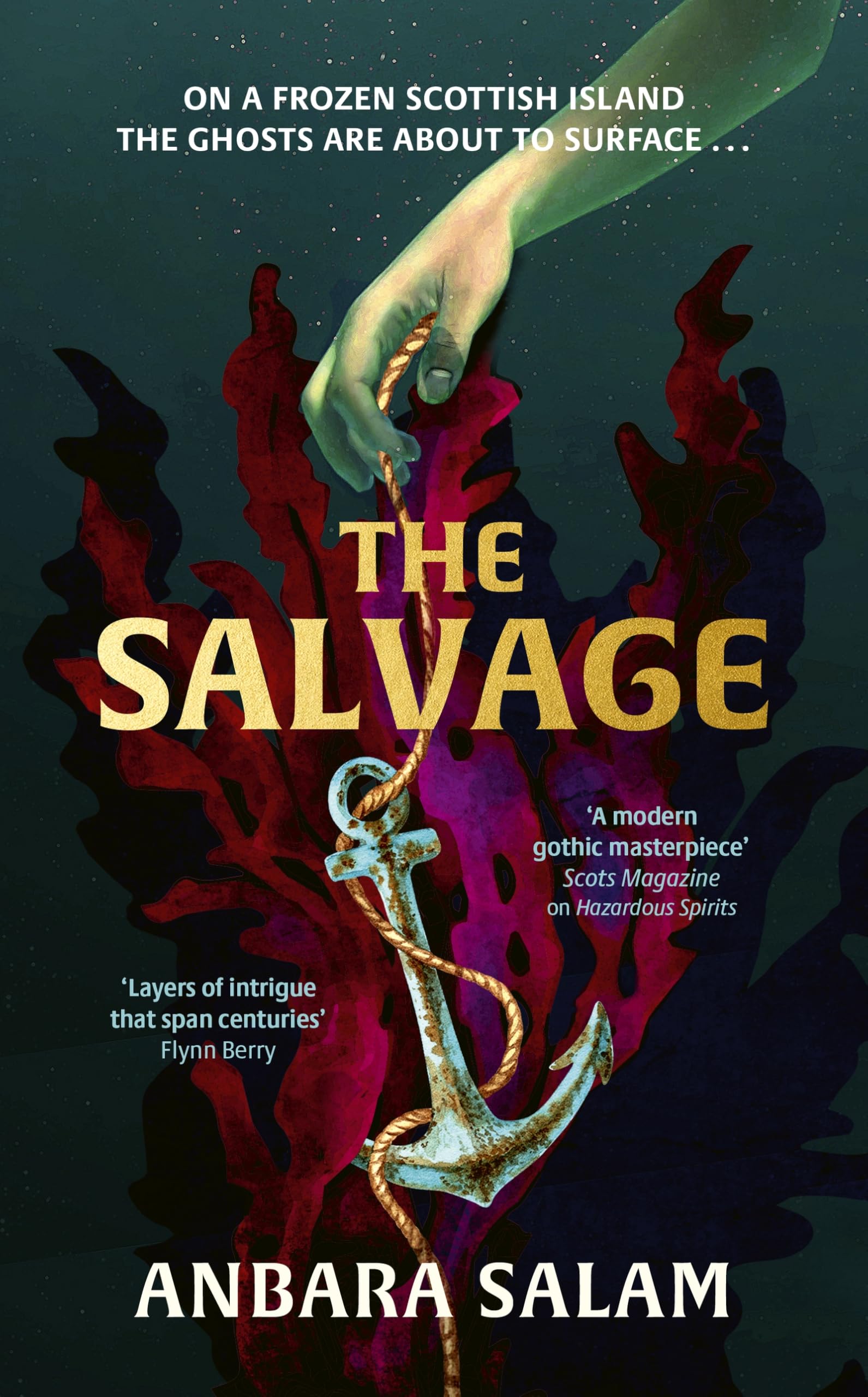 The Salvage by Anbara Salam book cover