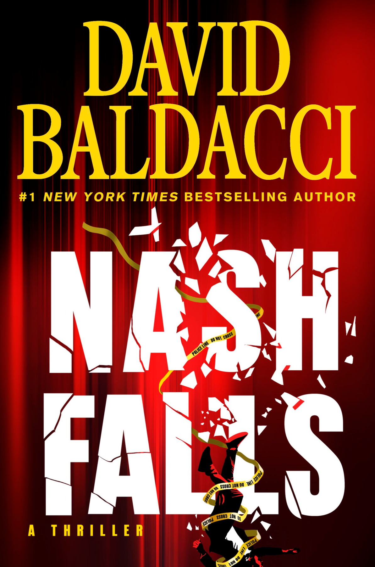 Nash Falls book cover