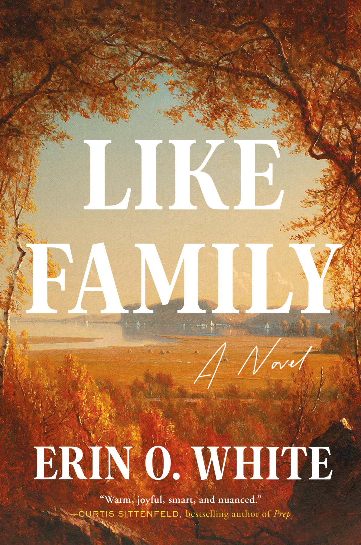 Like Family book cover