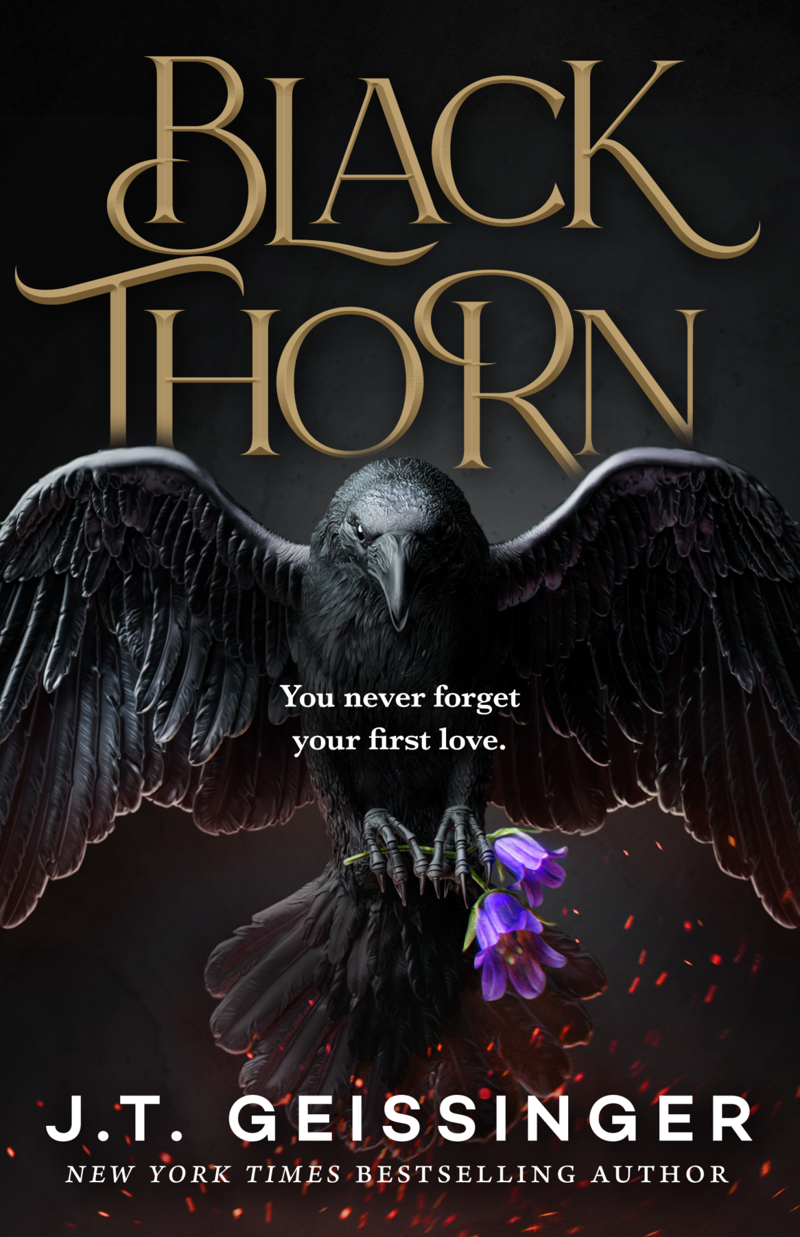 Blackthorn Book Cover