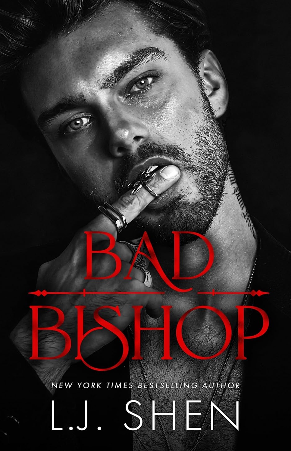 Bad Bishop Book Cover