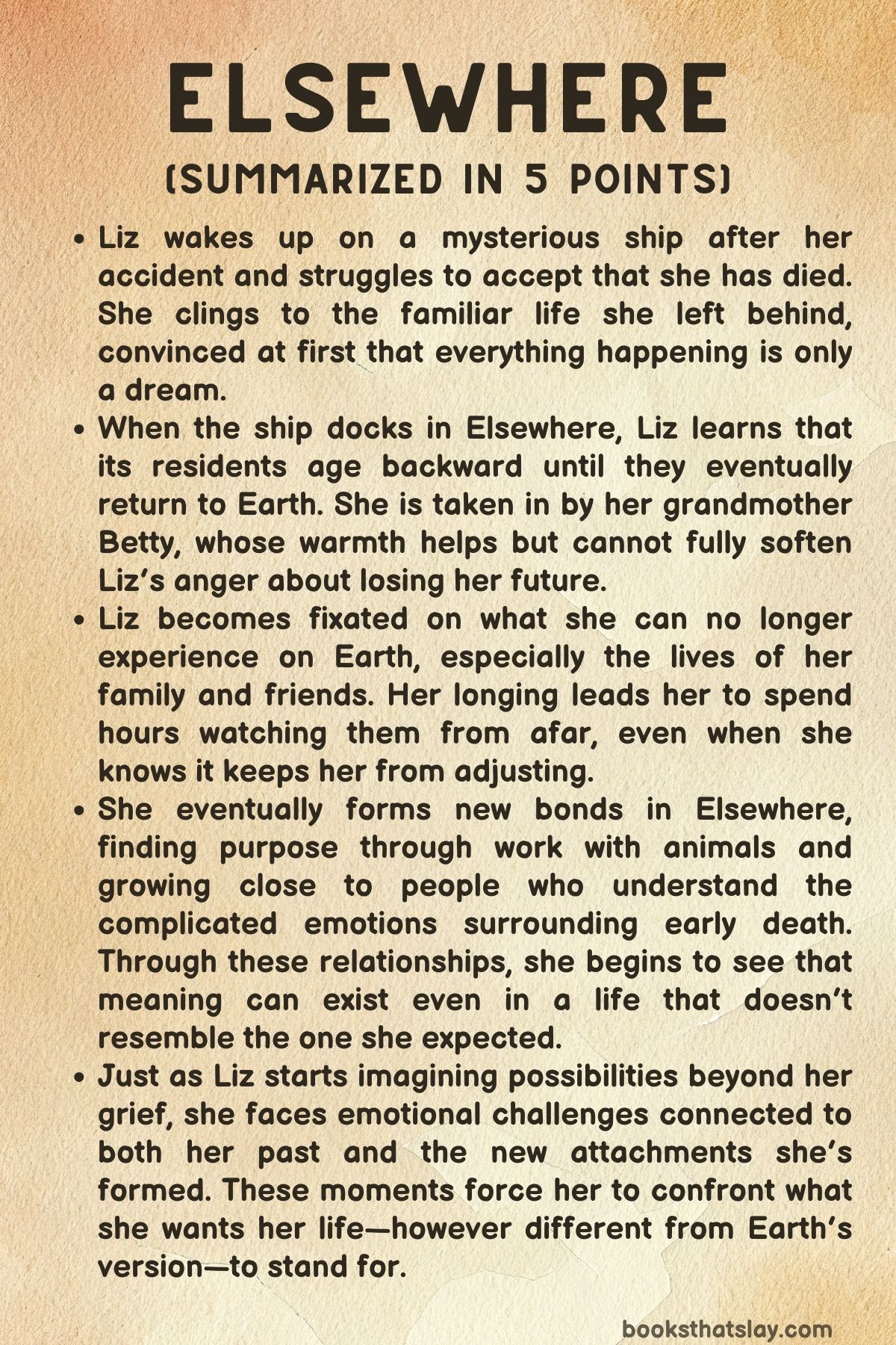 Elsewhere by Gabrielle Zevin Summary, Characters and Themes