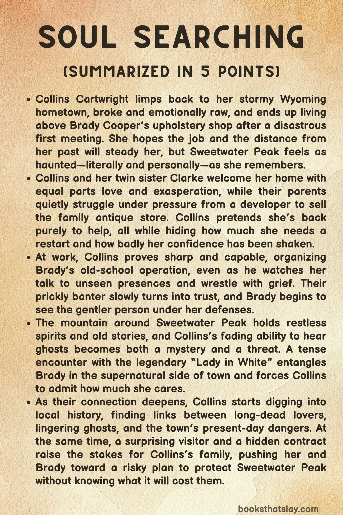 Soul Searching Summary, Characters and Themes