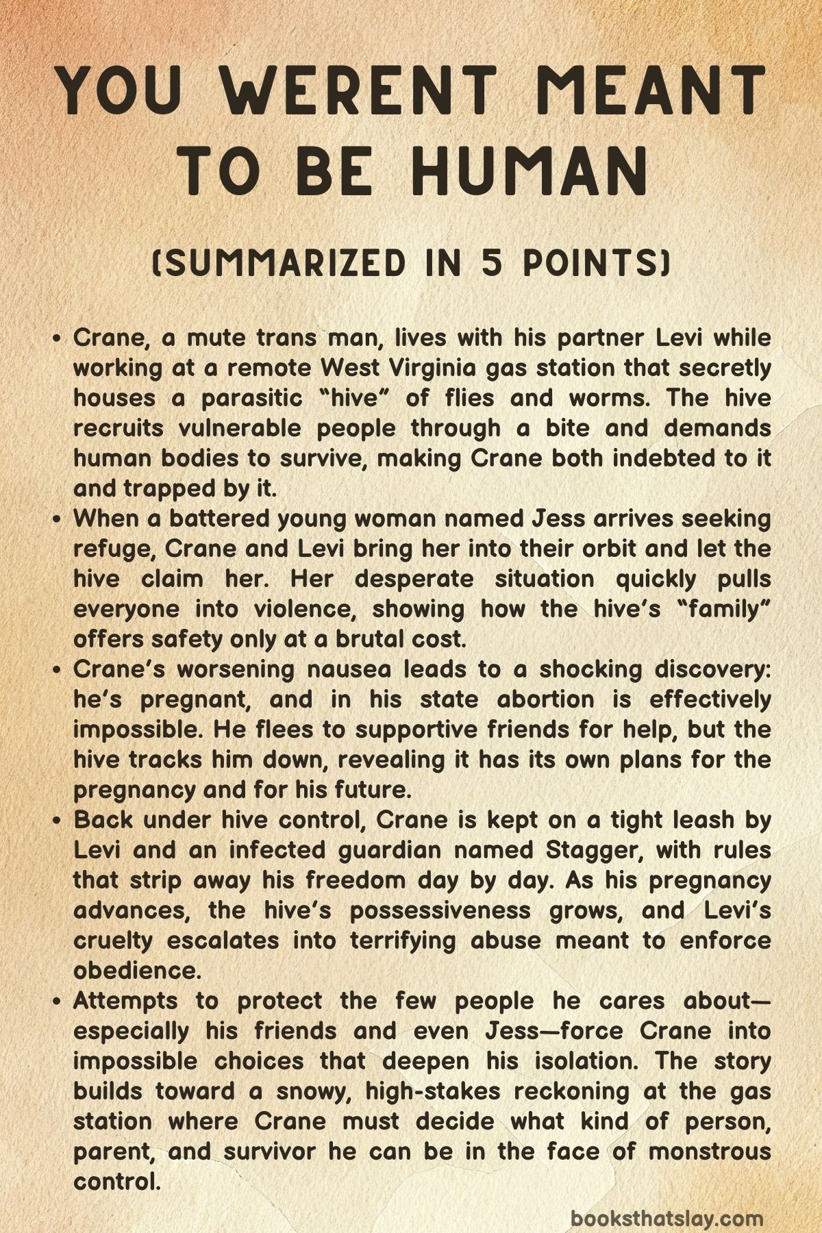 You Weren't Meant To Be Human Summary, Characters and Themes