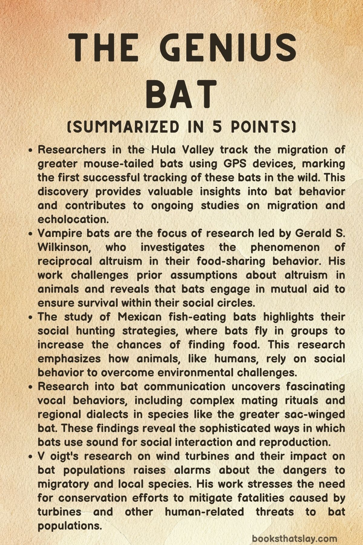 The Genius Bat Summary and Analysis
