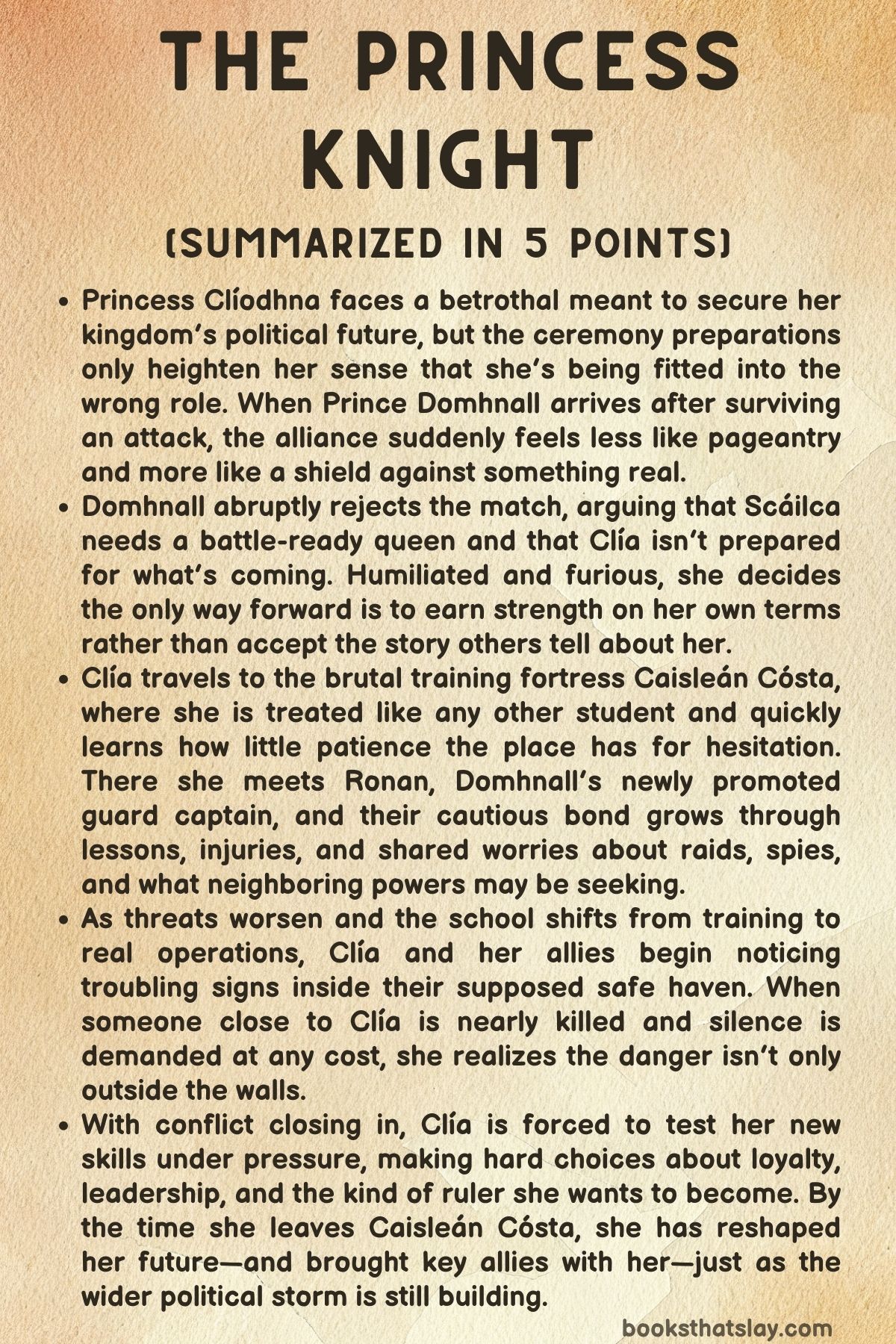 The Princess Knight Summary, Characters and Themes