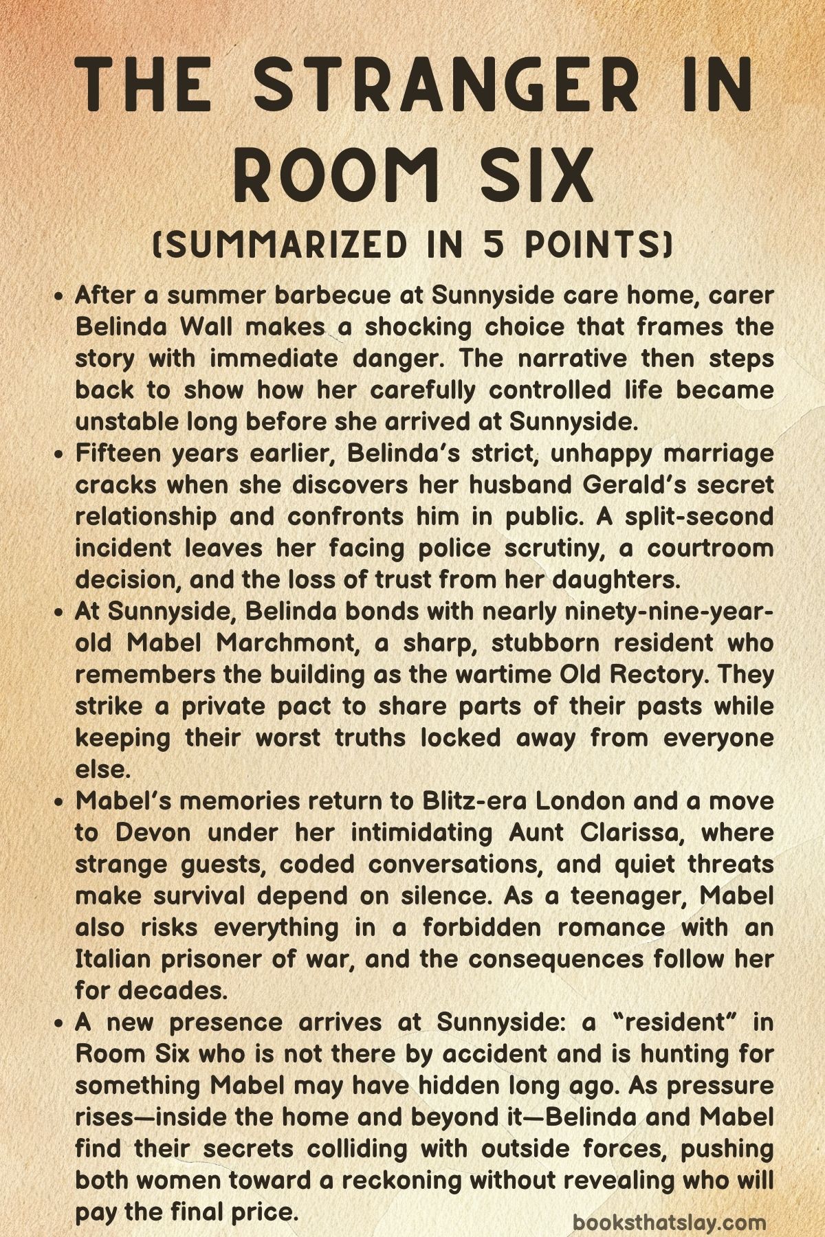 The Stranger in Room Six Summary, Characters and Themes