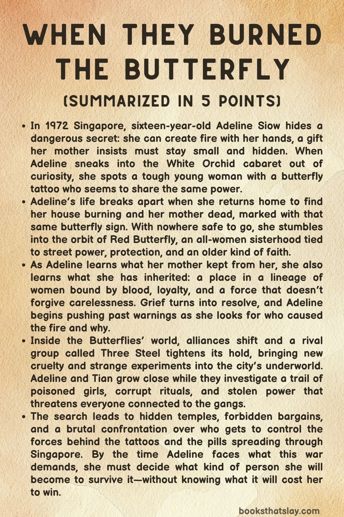 When They Burned The Butterfly Summary, Characters and Themes