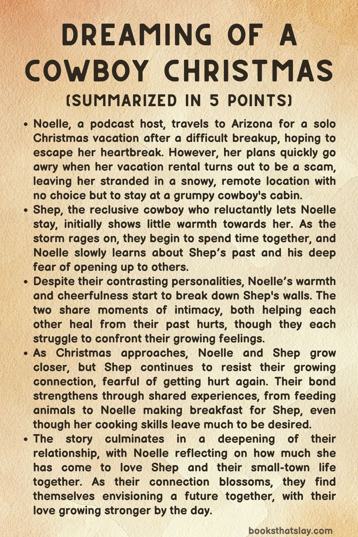 Dreaming of a Cowboy Christmas Summary, Characters and Themes