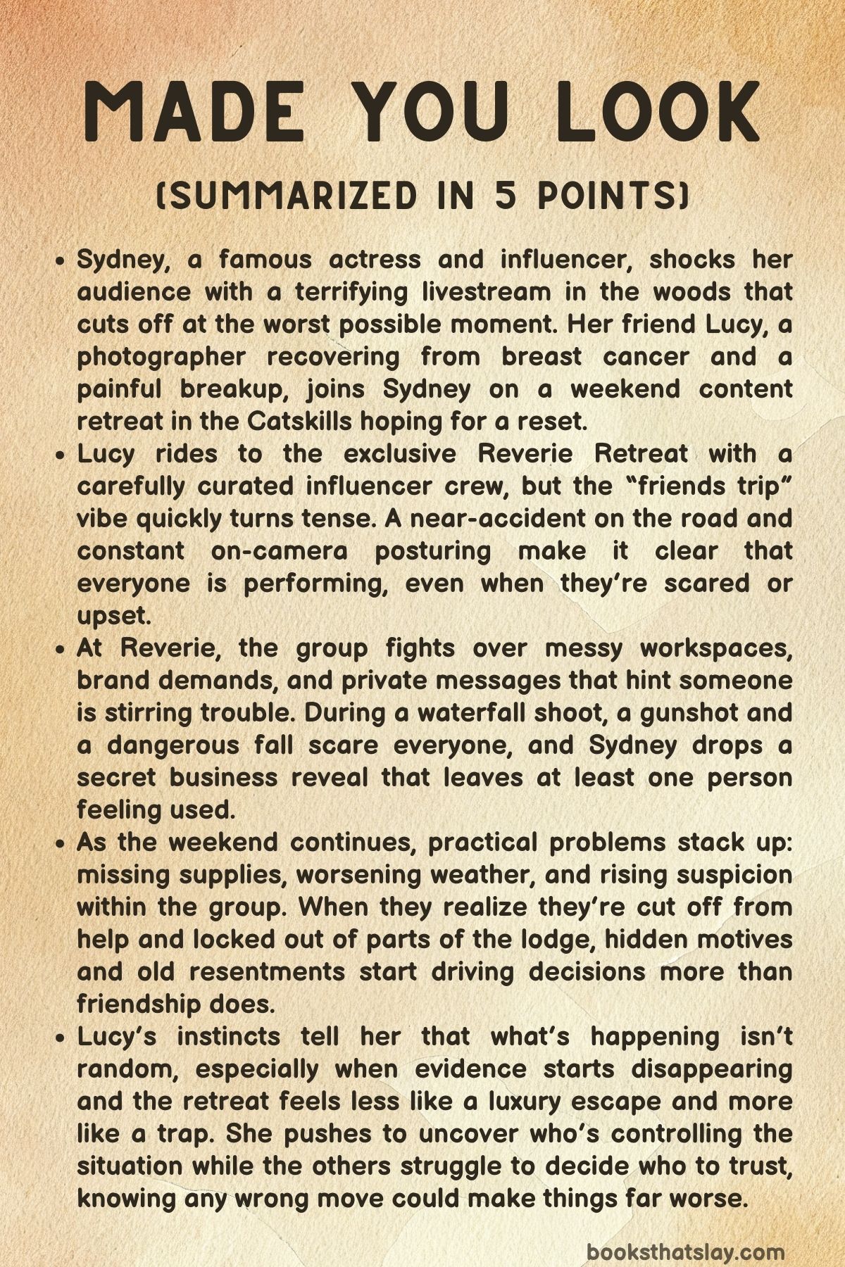 Made You Look Summary, Characters and Themes