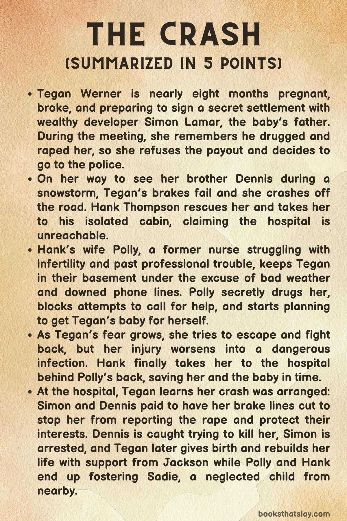 The Crash by Freida McFadden Summarized in 5 Points