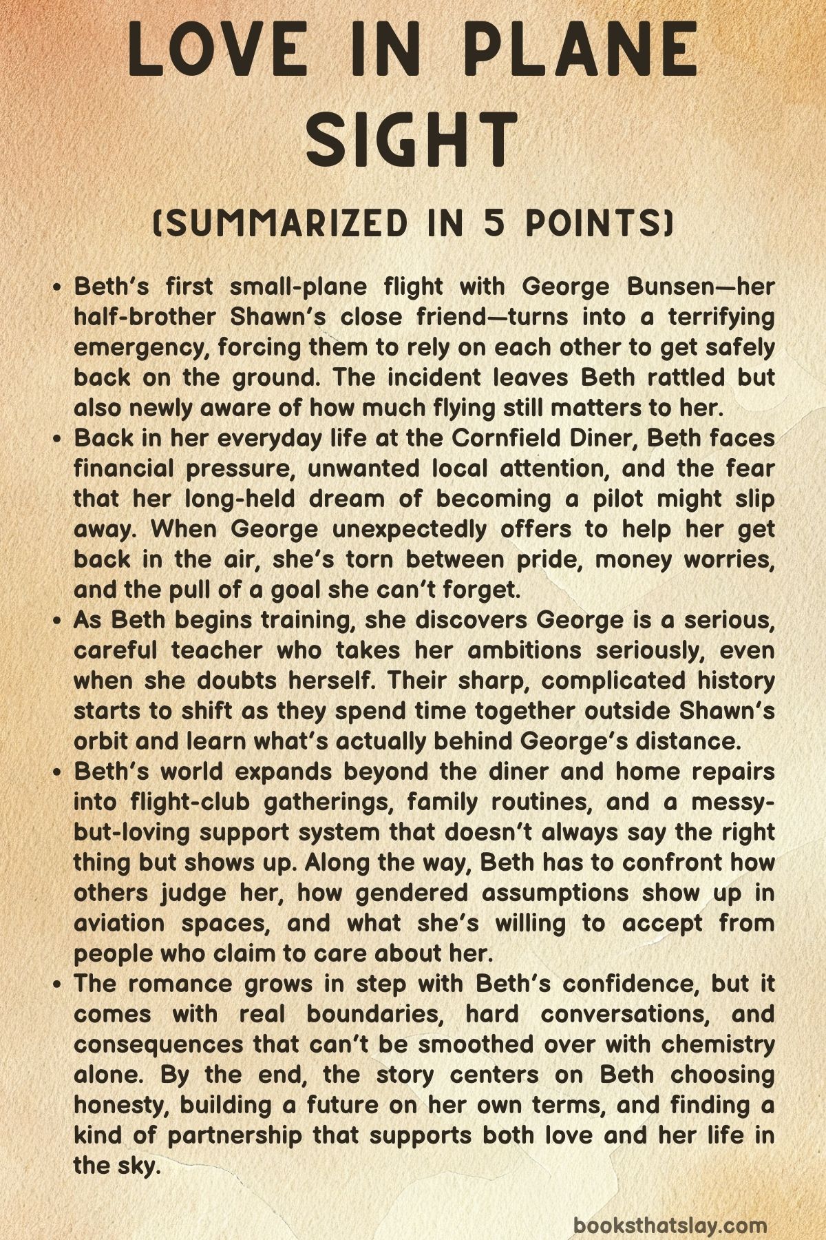 Love in Plane Sight Summary, Characters and Themes